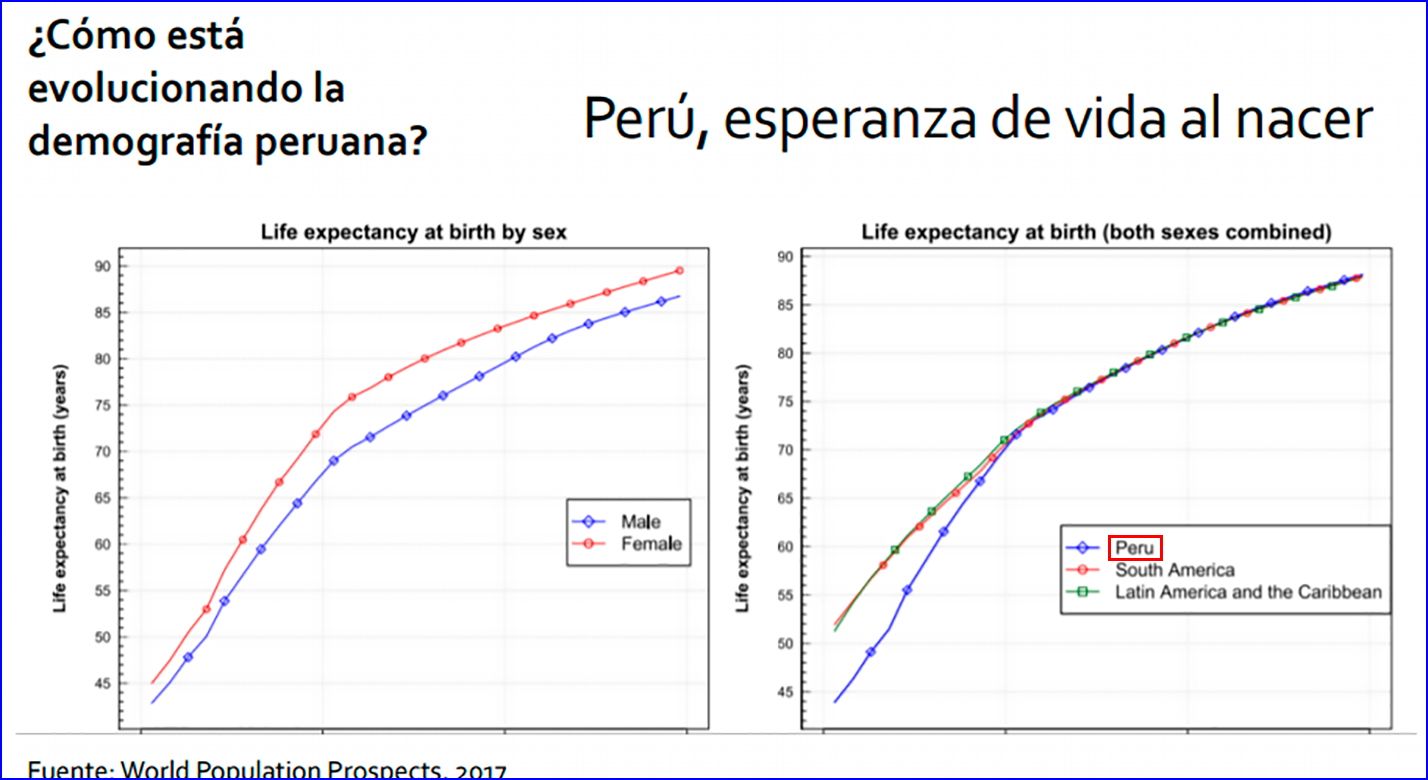 Etiqueta Sistemas Individuales Lampadia Antorcha Informativa