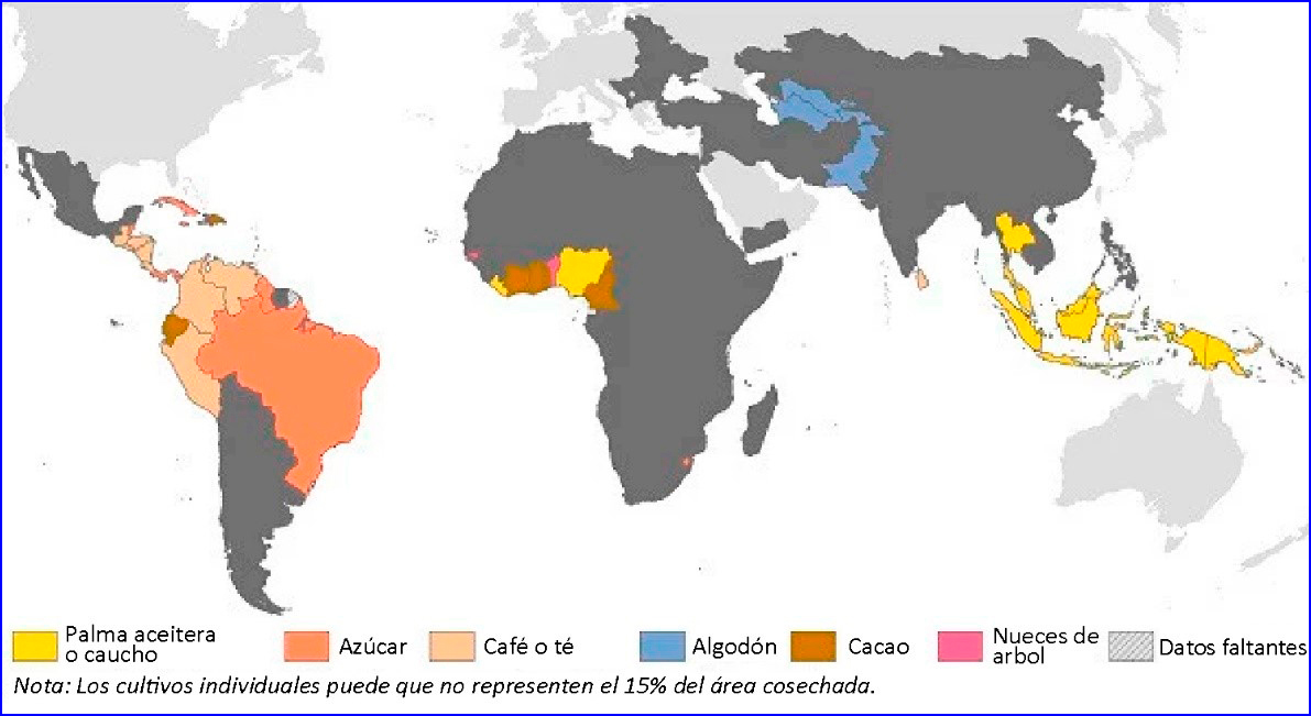 Where Did Squash Originate