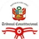 TRIBUNAL CONSTITUCIONAL